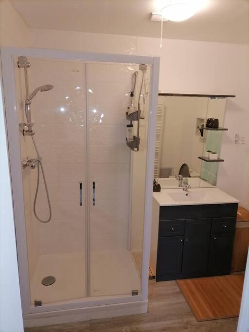 Appartement Sci La Malinoise à Albon Extérieur photo