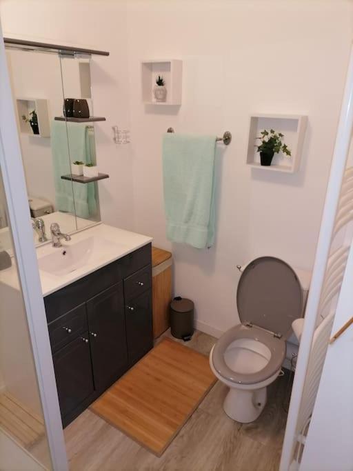 Appartement Sci La Malinoise à Albon Extérieur photo